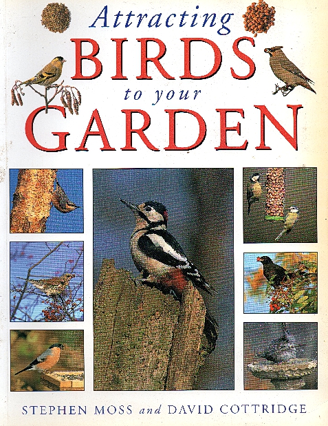 (image for) Attracting Birds to Your Garden